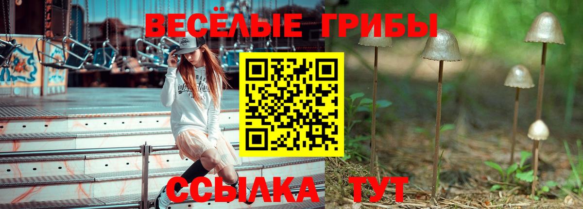 Псилоцибиновые грибы ЛСД  Псилоцибиновые грибы GOLDEN TEACHER  Ливны  Вход с VPN 