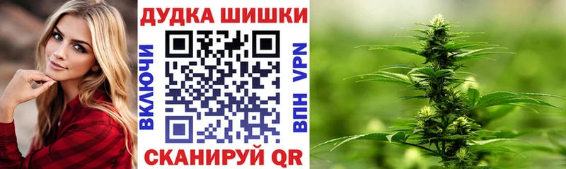 Каннабис планчик цены наркотик Ливны